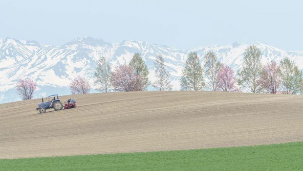 spring japan mihanppost 8