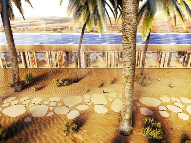 worlds greenest eco resort in UAE 5