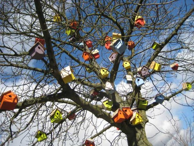 لانه پرندگان توماس وینتر، ابتکاری برای ماندن پرندگان در شهر ؟ 10 لانه پرندگان