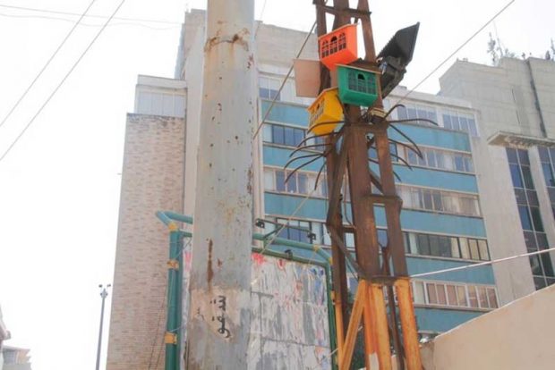 لانه پرندگان توماس وینتر، ابتکاری برای ماندن پرندگان در شهر ؟ 20 لانه پرندگان