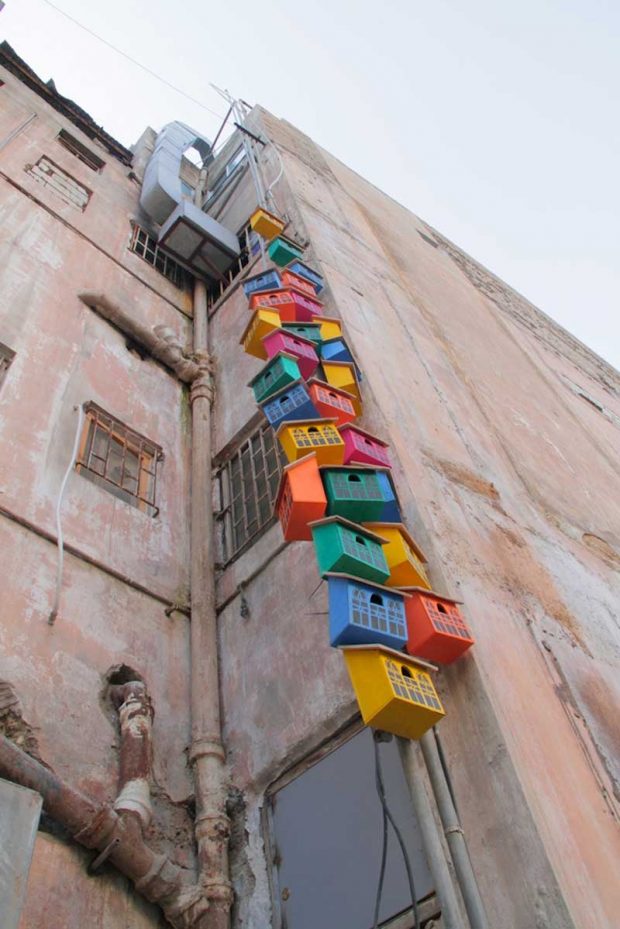 لانه پرندگان توماس وینتر، ابتکاری برای ماندن پرندگان در شهر ؟ 12 لانه پرندگان