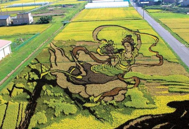 Painting on rice field 5