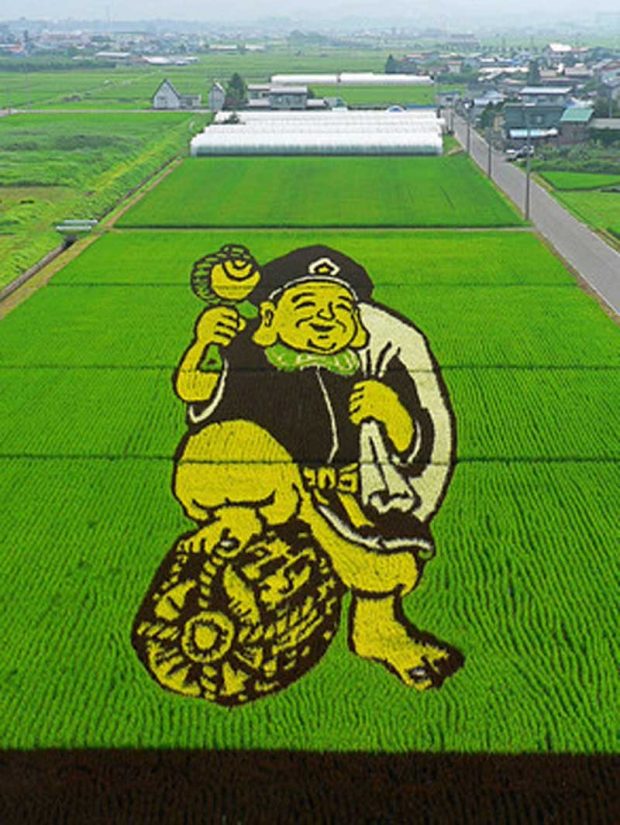مزارع برنجی که همه ساله بوم نقاشی کشاورزان ژاپنی می‌شوند