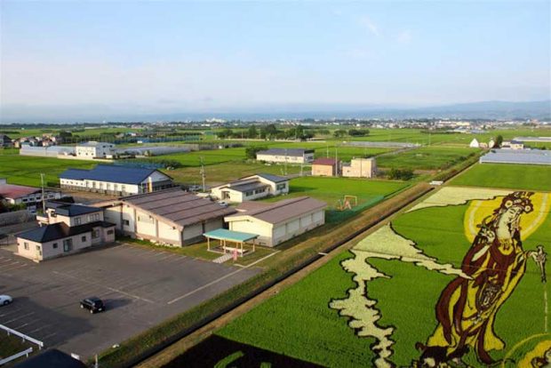 مزارع برنجی که همه ساله بوم نقاشی کشاورزان ژاپنی می‌شوند