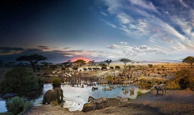 تصاویر تلفیق شب و روز