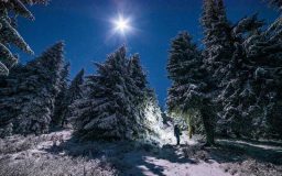 قرارهای عاشقانه یک زوج ماجراجو بر فراز کوه ها برفی