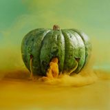 تصاویر سورئال از راز زندگی میوه‌ها و سبزیجات