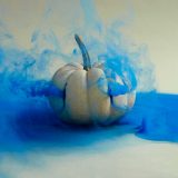 تصاویر سورئال از راز زندگی میوه‌ها و سبزیجات
