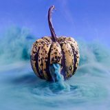 تصاویر سورئال از راز زندگی میوه‌ها و سبزیجات