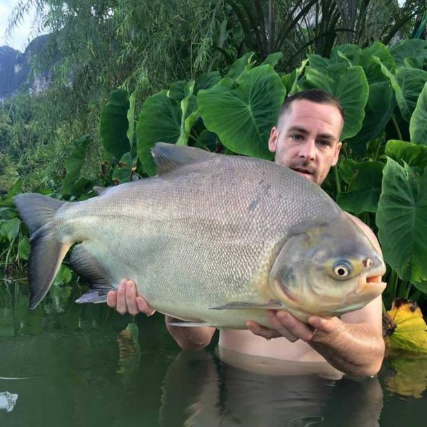 ماهی عجیب Pacu با دندان هایی شبیه انسان 2 ماهی عجیب Pacu با دندان هایی شبیه انسان