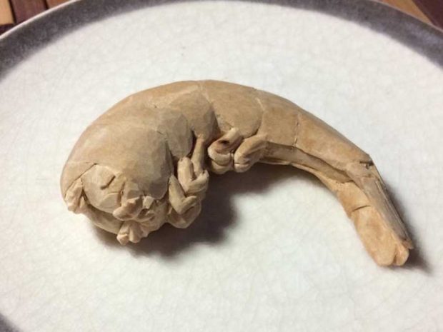 خوراکی هایی که باورتان نمی شود چوبی باشند ! 3 خوراکی های چوبی