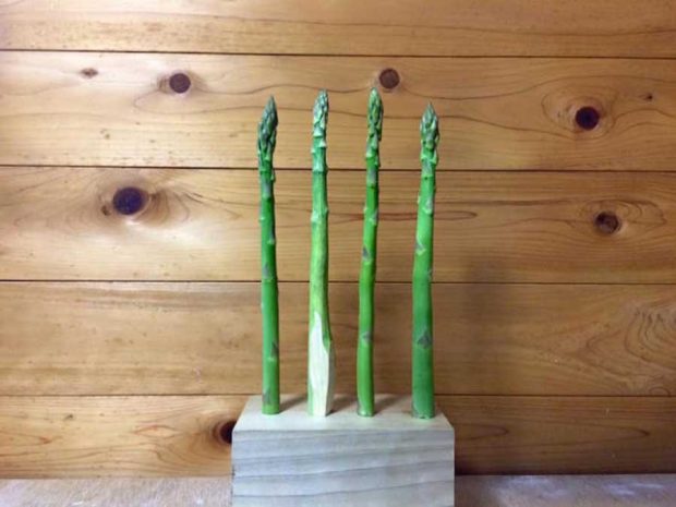 خوراکی هایی که باورتان نمی شود چوبی باشند ! 23 خوراکی های چوبی