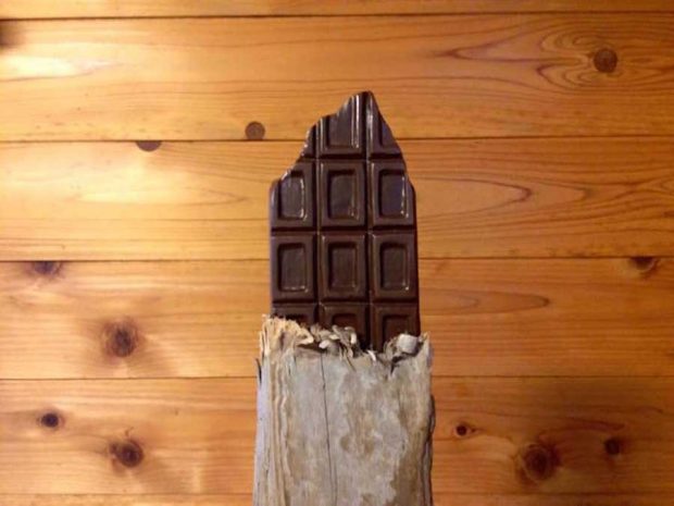 خوراکی هایی که باورتان نمی شود چوبی باشند ! 21 خوراکی های چوبی