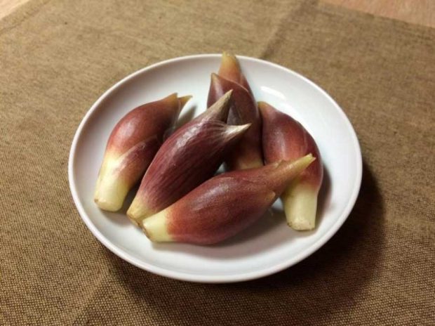 خوراکی هایی که باورتان نمی شود چوبی باشند ! 22 خوراکی های چوبی