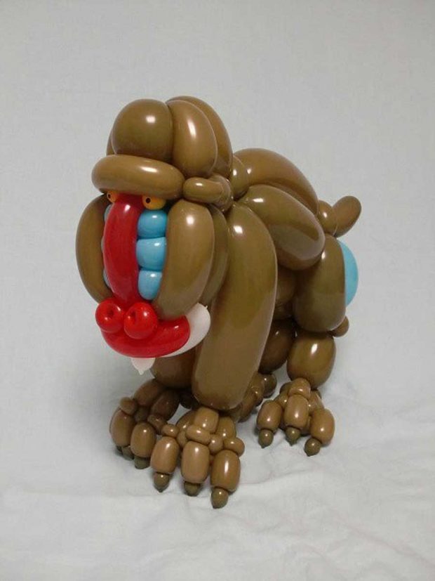 حیوانات بادکنکی