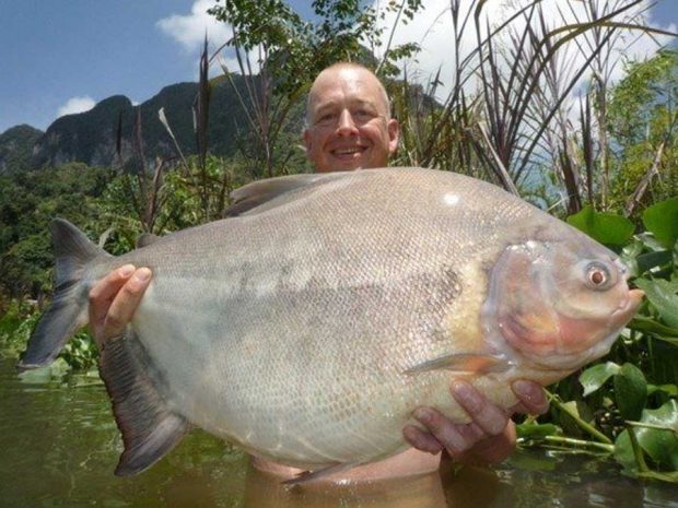 ماهی عجیب Pacu با دندان هایی شبیه انسان 5 ماهی عجیب Pacu با دندان هایی شبیه انسان