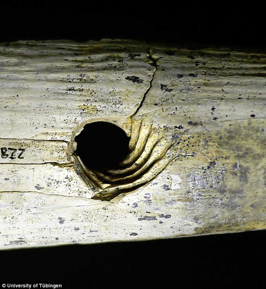 حل معمای ساخت طناب در دوره پارینه سنگی + عکس 3 معمای ساخت طناب در دوره پارینه سنگی با کشف یک ابزار در آلمان حل شد