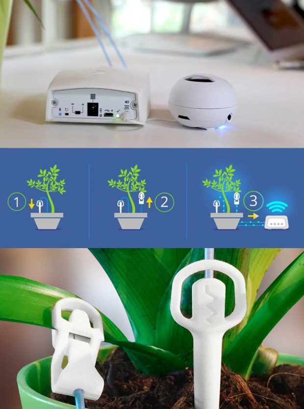 دستگاه PhytlSigns