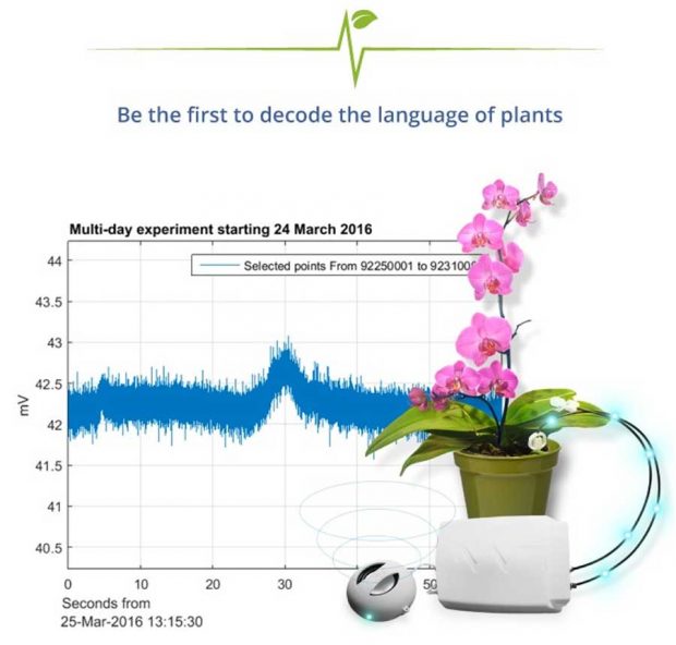 دستگاه PhytlSigns