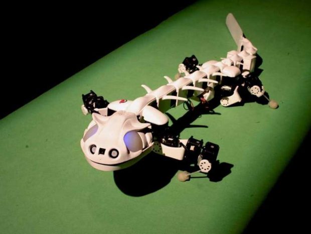 ساخت ربات Pleurobot با تقلید از حرکت سمندر + عکس 4 ربات Pleurobot