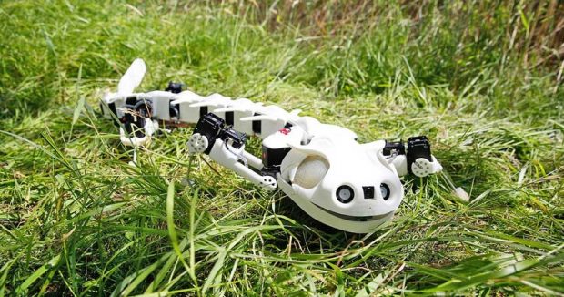 ساخت ربات Pleurobot با تقلید از حرکت سمندر + عکس 6 ربات Pleurobot