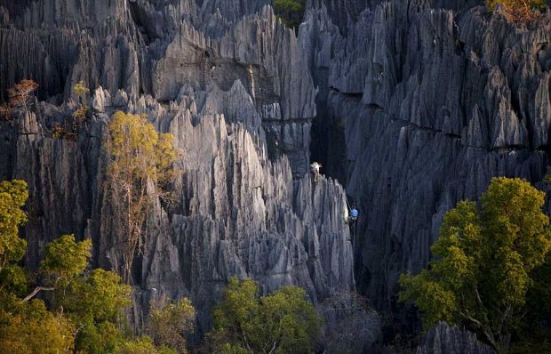 سفری هیجان انگیز به جنگل سنگی ماداگاسکار + عکس 10 جنگل سنگی ماداگاسکار