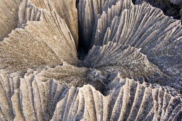 سفری هیجان انگیز به جنگل سنگی ماداگاسکار + عکس 12 جنگل سنگی ماداگاسکار