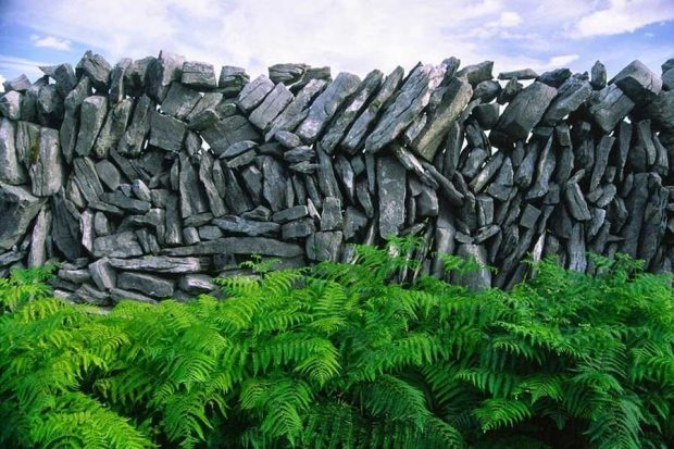 دیوار سنگی ایرلند