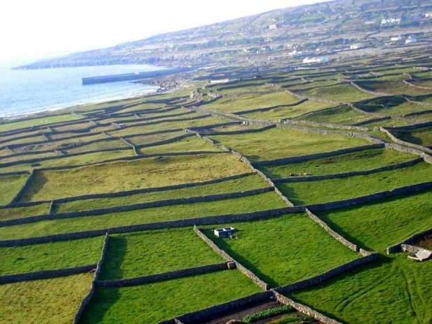 دیوار سنگی ایرلند