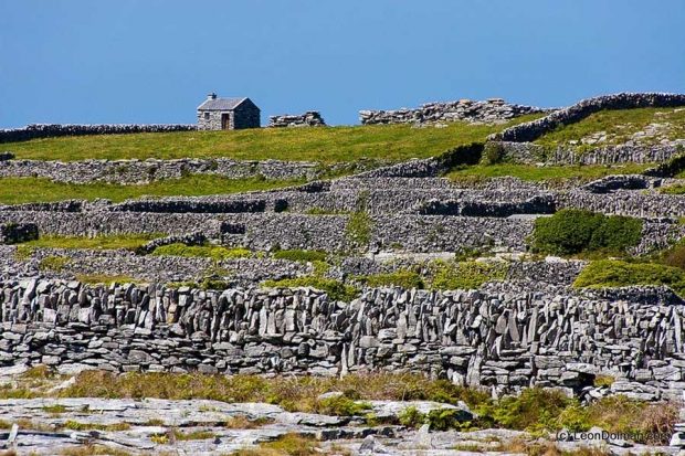 دیوار سنگی ایرلند