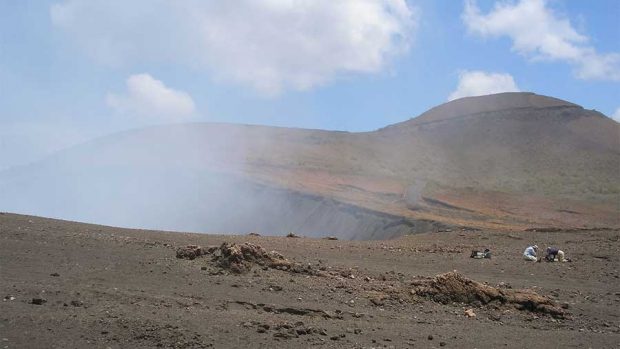 لانه سازی زنبوری عجیب در میان آتشفشان فعال ماسایا