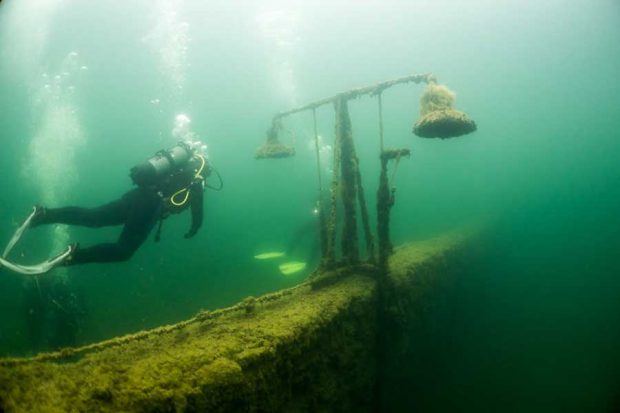 زندانی زیرآبی استونی از دریچه دوبین غواصان عکاس ! 9 تصاویری از زندان زیرآبی در استونی