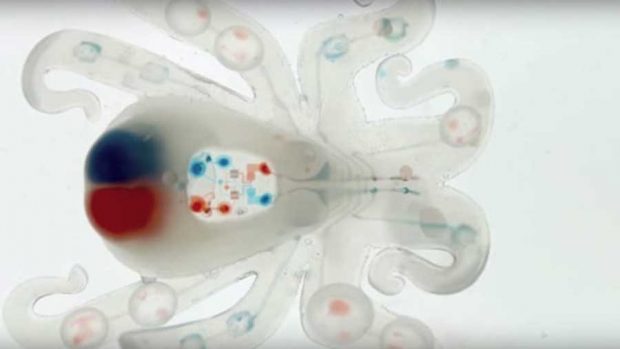 ربات هشت پا ژله ای