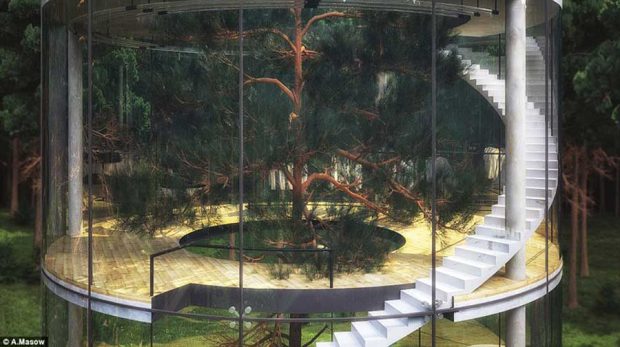 طراحی خانه درختی شیشه ای