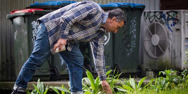 کار داوطلبانه برای تمیزی یک شهر