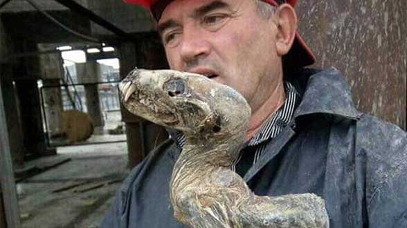 جانور عجیب مومیایی‌ شده‌ در سیبری