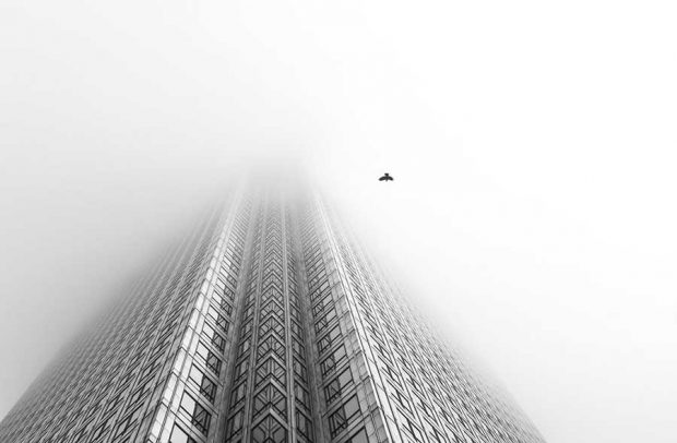 برندگان مسابقه عکاسی حیات وحش ۲۰۱۶