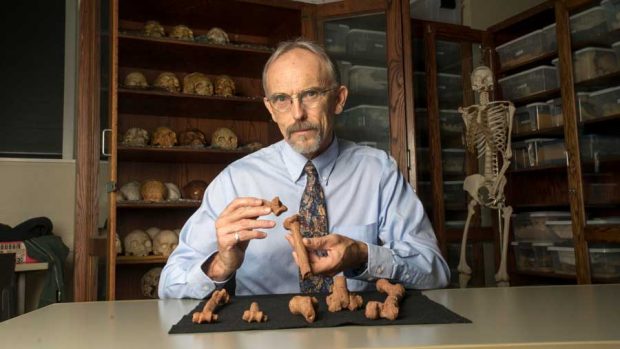 جزئیاتی از مرگ لوسی،جانداری شبیه انسان + عکس 8 لوسی جاندار شبیه انسان