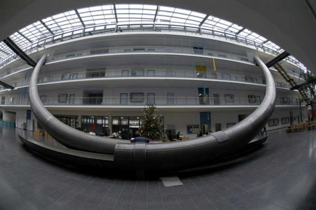 دلایل نصب سرسره در دانشگاه فنی مونیخ آلمان چیست ؟! 4 سرسره دانشگاه فنی مونیخ آلمان