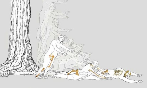 جزئیاتی از مرگ لوسی،جانداری شبیه انسان + عکس 3 لوسی جاندار شبیه انسان