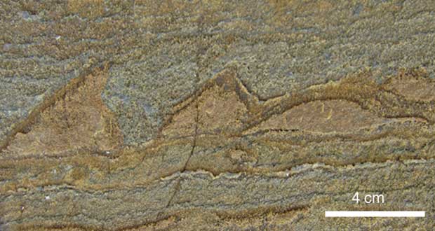 کشف فسیل ۳٫۶ میلیارد ساله یک موجود زنده در گرین‌لند