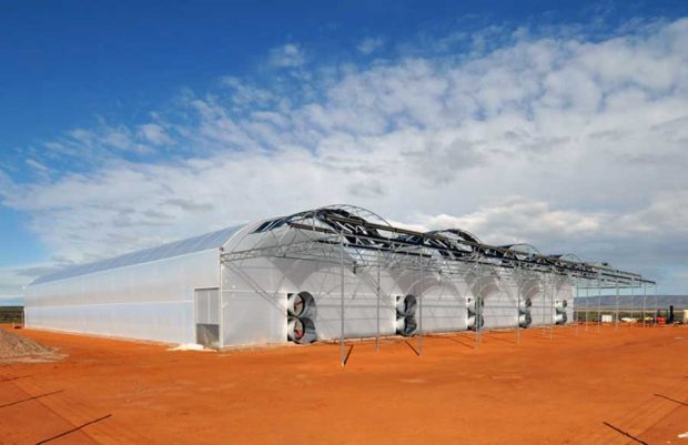 اولین مزرعه خورشیدی دنیا راه اندازی شد