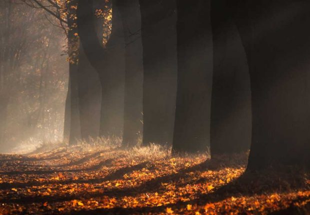 تصاویر رویایی از پاییز در کشور لهستان