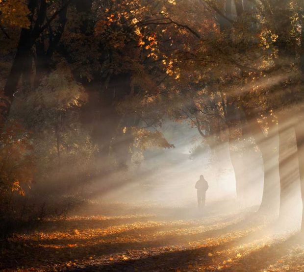 تصاویر رویایی از پاییز در کشور لهستان