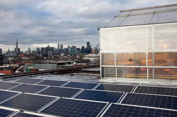 سفری به بزرگترین مزرعه پشتبامی جهان در شیکاگو ! 2 سفری به بزرگترین مزرعه پشتبامی جهان در شیکاگو