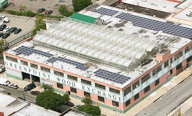 سفری به بزرگترین مزرعه پشتبامی جهان در شیکاگو ! 4 سفری به بزرگترین مزرعه پشتبامی جهان در شیکاگو