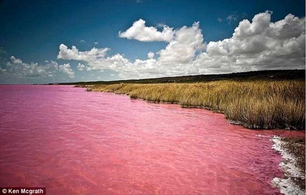 دریاچه صورتی رنگ هیلیر