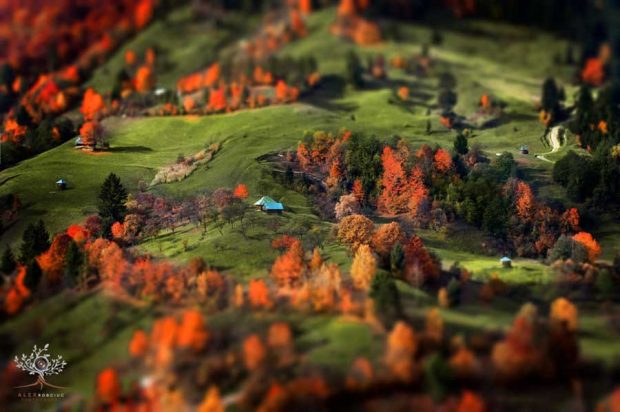 ثبت تصاویری دیدنی از پاییز در رومانی، با ساده ترین دوربین عکاسی! 12 ثبت برترین عکس های پاییز رومانی، با ساده ترین دوربین عکاسی!