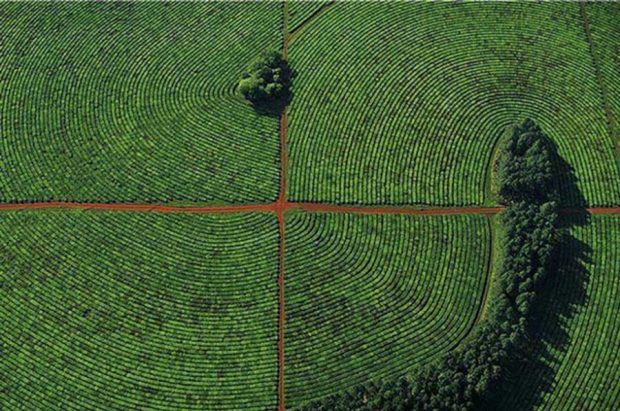 شگفت انگیزترین مناظر دنیا در تسخیر دوربین های عکاسی