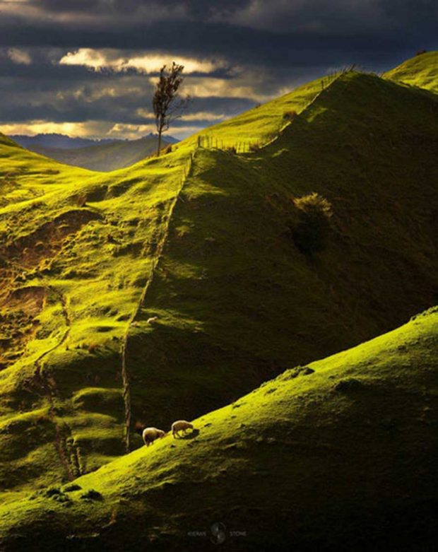 شگفت انگیزترین مناظر دنیا در تسخیر دوربین های عکاسی